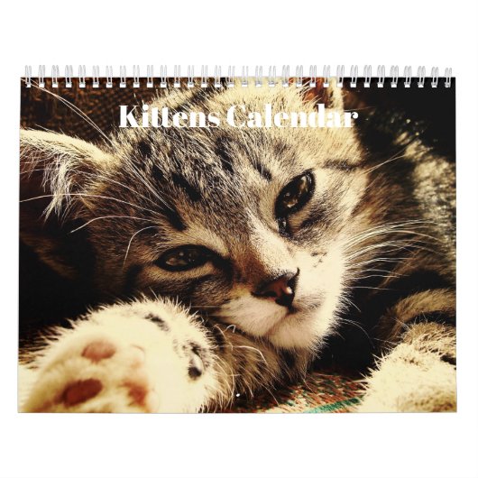 Cute Bengal Kittens 2023 Kalender (Hoes)