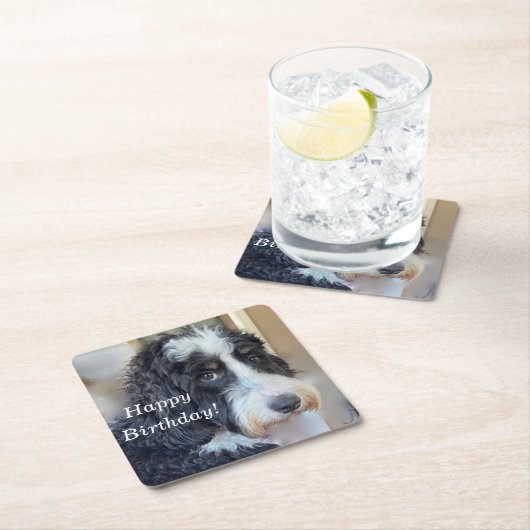 Cute Bernedoodle Kartonnen Onderzetters (Insitu)