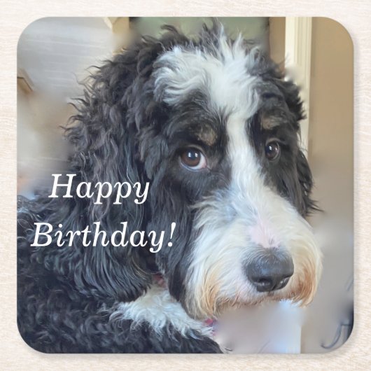 Cute Bernedoodle Kartonnen Onderzetters (Voorkant)