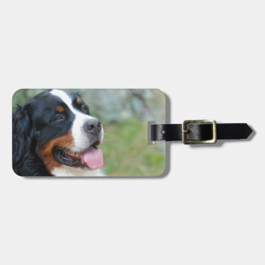 Cute Bernese Bagagelabel (Voorkant horizontaal)