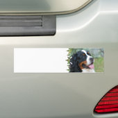 Cute Bernese Bumpersticker (Op auto)
