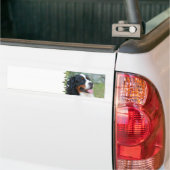 Cute Bernese Bumpersticker (Op Truck)