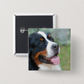 Cute Bernese Button (Voorkant /achterkant)