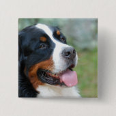Cute Bernese Button (Voorkant)