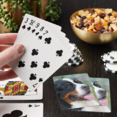 Cute Bernese Deck of Cards Pokerkaarten (Insitu)