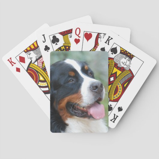 Cute Bernese Deck of Cards Pokerkaarten (Achterkant)