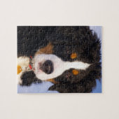 Cute Bernese Mountain Dog Puppy Afbeelding Legpuzzel (Horizontaal)