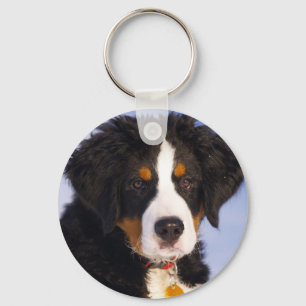 Cute Bernese Mountain Dog Puppy Afbeelding Sleutelhanger