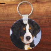 Cute Bernese Mountain Dog Puppy Afbeelding Sleutelhanger (Voorkant)