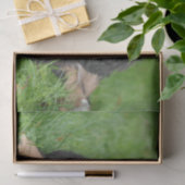 Cute Bernese Mountain Dog Puppy Tissuepapier (Geschenk)