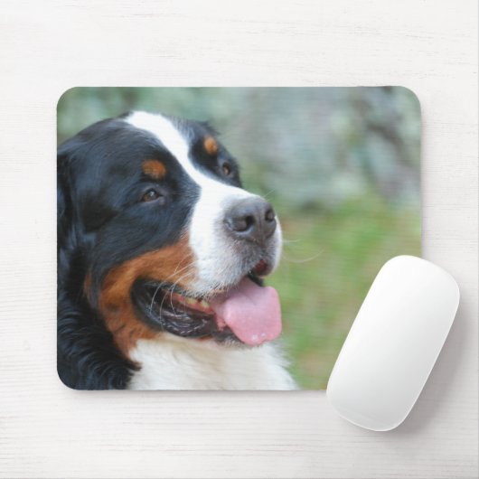 Cute Bernese Muismat (Met muis)