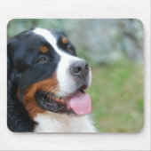 Cute Bernese Muismat (Voorkant)