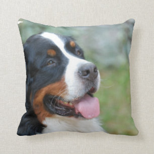 Cute Bernese Pillow Kussen