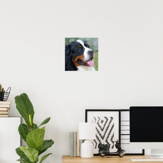 Cute Bernese Poster (Thuiskantoor)