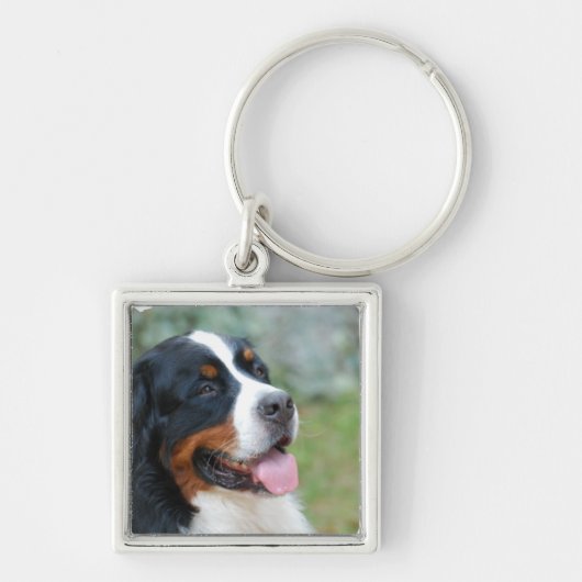 Cute Bernese Sleutelhanger (Voorkant)