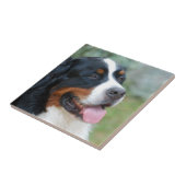 Cute Bernese Tile Tegeltje (Zijkant)