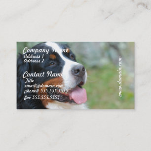 Cute Bernese Visitekaartjes