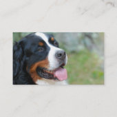 Cute Bernese Visitekaartjes (Achterkant)