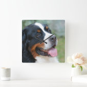 Cute Bernese Wall Clock Vierkante Klok (Huis)