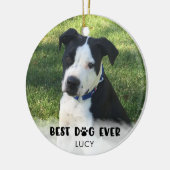 Cute BEST DOG EVER Typography Keramisch Ornament (Links)
