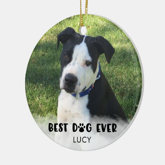 Cute BEST DOG EVER Typography Keramisch Ornament (Links)