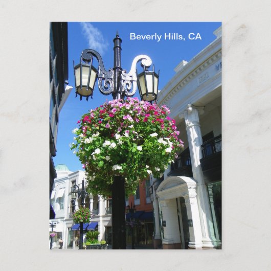 Cute Beverly Hills Briefkaart! Briefkaart (Voorkant)