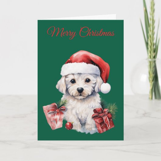 Cute Bichon Frise at Christmas Feestdagen Kaart (Voorkant)