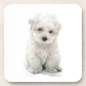 Cute Bichon Frise Cork Onderzetters (Voorkant)
