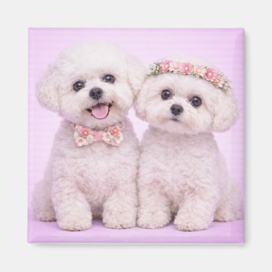 Cute Bichon Frise Couple Valentine Illustration Magneet (Voorkant)