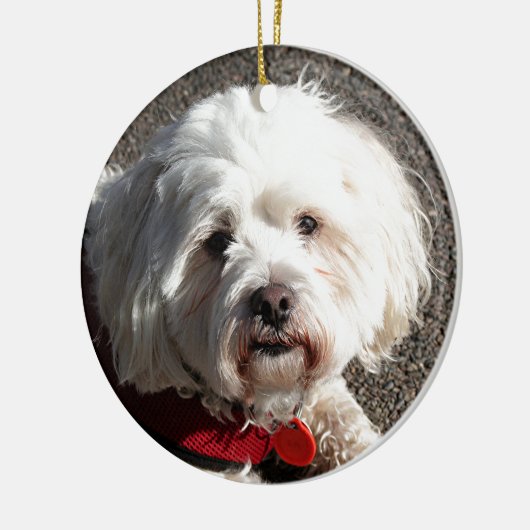 Cute bichon frise hond keramisch ornament (Links)