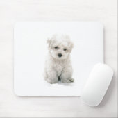 Cute Bichon Frise Muismat (Met muis)
