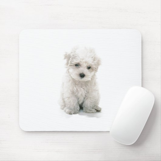 Cute Bichon Frise Muismat (Met muis)