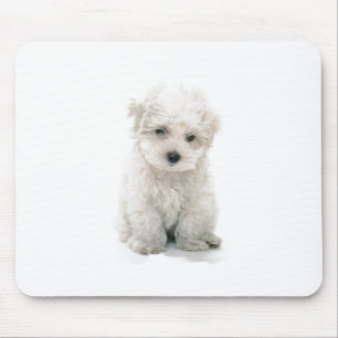 Cute Bichon Frise Muismat