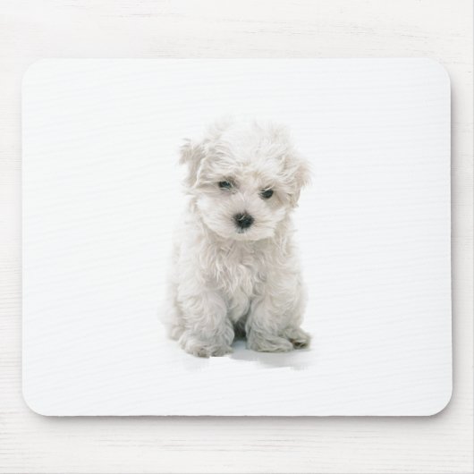Cute Bichon Frise Muismat (Voorkant)