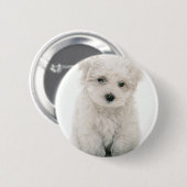 Cute Bichon Frise Round Button (Voorkant /achterkant)