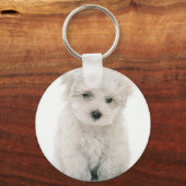 Cute Bichon Frise Sleutelhanger (Voorkant)