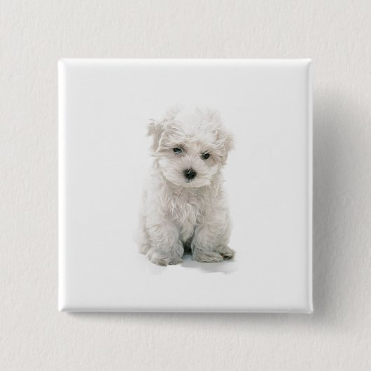 Cute Bichon Frise Square Pin Vierkante Button 5,1 Cm (Voorkant)