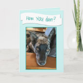 Cute Big Eared Dog Foto Placeholder Kaart (Voorkant)