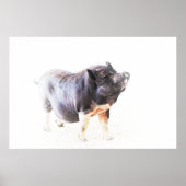 Cute Big Pig Boerderij Style Art Poster (Voorkant)