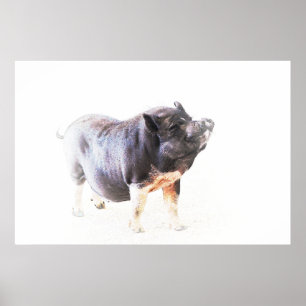 Cute Big Pig Boerderij Style Art Poster