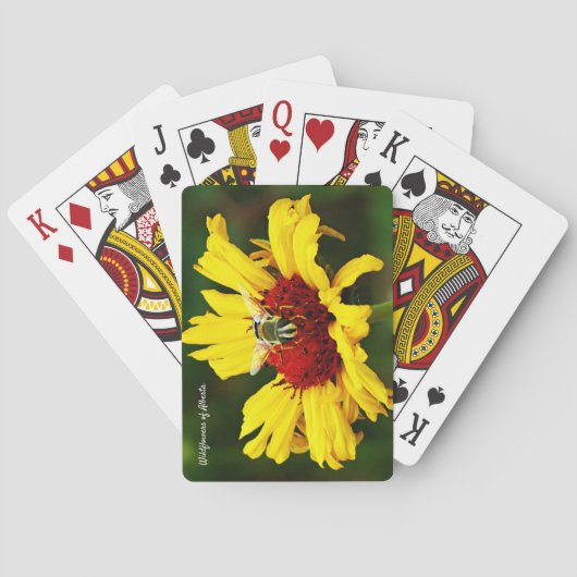 Cute Bij Rust Op Helder Gele Wilde Bloem Pokerkaarten (Achterkant)
