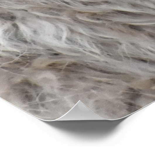 Cute Billy Goat Poster (Hoek)