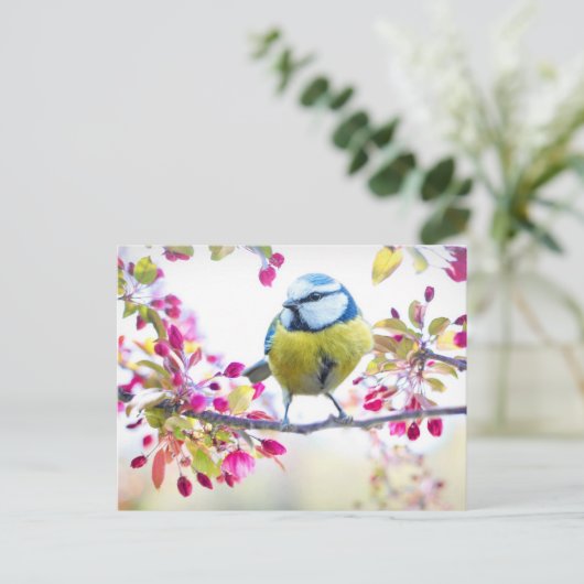 Cute Bird Briefkaart (Staand voorkant)