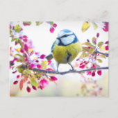 Cute Bird Briefkaart (Voorkant)
