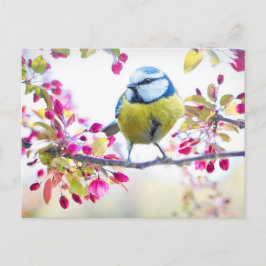 Cute Bird Briefkaart
