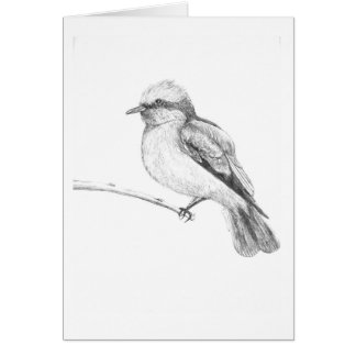 Cute Bird die ieders aandacht trekt.