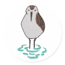 Cute Bird Drawing Sleeping Sandpiper