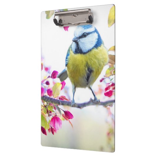 Cute Bird Klembord (Links)