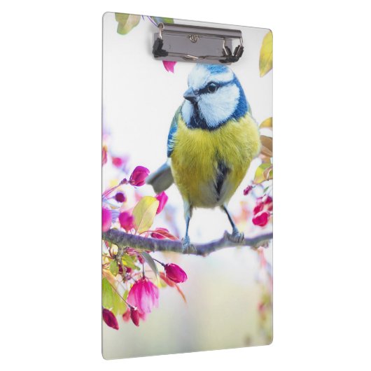 Cute Bird Klembord (Rechts)