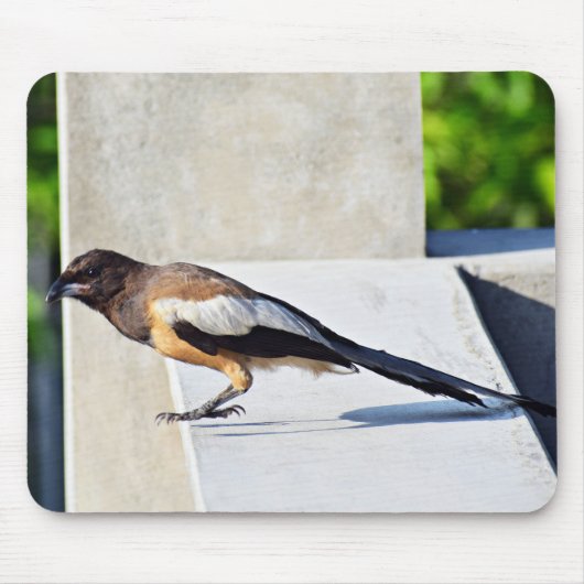 Cute Bird Muismat (Voorkant)